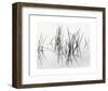 Lake of Two Rivers-Andrew Ren-Framed Art Print