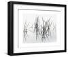 Lake of Two Rivers-Andrew Ren-Framed Art Print