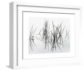 Lake of Two Rivers-Andrew Ren-Framed Art Print