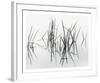 Lake of Two Rivers-Andrew Ren-Framed Art Print