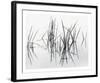 Lake of Two Rivers-Andrew Ren-Framed Art Print