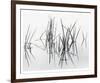 Lake of Two Rivers-Andrew Ren-Framed Art Print