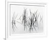 Lake of Two Rivers-Andrew Ren-Framed Art Print