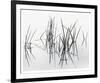 Lake of Two Rivers-Andrew Ren-Framed Art Print