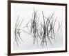 Lake of Two Rivers-Andrew Ren-Framed Giclee Print