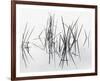 Lake of Two Rivers-Andrew Ren-Framed Giclee Print