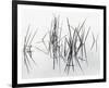 Lake of Two Rivers-Andrew Ren-Framed Giclee Print