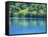 Lake Onneto-null-Framed Stretched Canvas