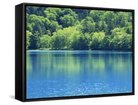 Lake Onneto-null-Framed Stretched Canvas