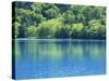 Lake Onneto-null-Stretched Canvas
