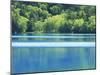 Lake Onneto-null-Mounted Photographic Print