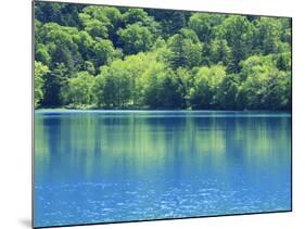 Lake Onneto-null-Mounted Photographic Print