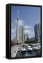 Lake Ontario City Skyline View from Marina, Toronto, Ontario, Canada-Cindy Miller Hopkins-Framed Stretched Canvas