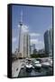 Lake Ontario City Skyline View from Marina, Toronto, Ontario, Canada-Cindy Miller Hopkins-Framed Stretched Canvas