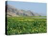 Lake Paresham, Iran, Middle East-Harding Robert-Stretched Canvas