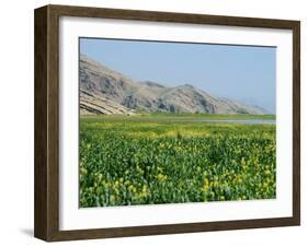 Lake Paresham, Iran, Middle East-Harding Robert-Framed Photographic Print