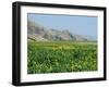 Lake Paresham, Iran, Middle East-Harding Robert-Framed Photographic Print
