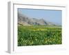 Lake Paresham, Iran, Middle East-Harding Robert-Framed Photographic Print