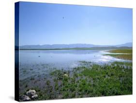 Lake Paresham, Iran, Middle East-Harding Robert-Stretched Canvas