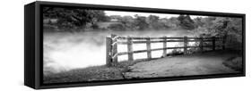 Lake Path-Kelly Poynter-Framed Stretched Canvas