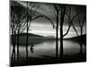 Lake Patzcuaro, Mexico, 1976-Brett Weston-Mounted Premium Photographic Print