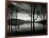 Lake Patzcuaro, Mexico, 1976-Brett Weston-Framed Photographic Print