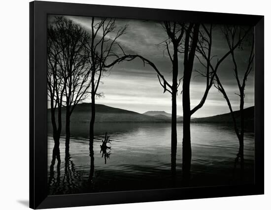 Lake Patzcuaro, Mexico, 1976-Brett Weston-Framed Photographic Print