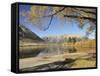 Lake Pearson, Canterbury High Country, South Island, New Zealand, Pacific-Jochen Schlenker-Framed Stretched Canvas