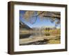 Lake Pearson, Canterbury High Country, South Island, New Zealand, Pacific-Jochen Schlenker-Framed Photographic Print