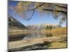 Lake Pearson, Canterbury High Country, South Island, New Zealand, Pacific-Jochen Schlenker-Mounted Photographic Print