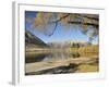 Lake Pearson, Canterbury High Country, South Island, New Zealand, Pacific-Jochen Schlenker-Framed Photographic Print