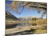 Lake Pearson, Canterbury High Country, South Island, New Zealand, Pacific-Jochen Schlenker-Mounted Photographic Print