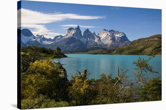 Lake Pehoe in the Torres Del Paine National Park, Patagonia, Chile, South America-Michael Runkel-Stretched Canvas