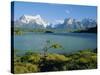 Lake Pehoe, Torres Del Paine National Park, Chile, South America-Jane Sweeney-Stretched Canvas