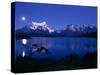 Lake Pehoe, Torres Del Paine National Park, Chile-null-Stretched Canvas