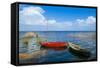 Lake Peipus (Lake Peipsi), Estonia, Baltic States, Europe-Nico Tondini-Framed Stretched Canvas