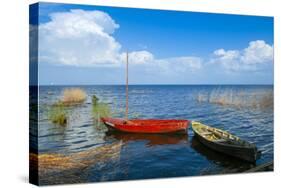Lake Peipus (Lake Peipsi), Estonia, Baltic States, Europe-Nico Tondini-Stretched Canvas