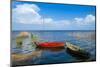 Lake Peipus (Lake Peipsi), Estonia, Baltic States, Europe-Nico Tondini-Mounted Photographic Print