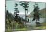 Lake Pend d'Oreille, Idaho, View of the Lake from a Fenced in Yard-Lantern Press-Mounted Art Print