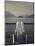 Lake Pier, Tremezzo, Como Province, Italy-Walter Bibikow-Mounted Photographic Print