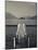 Lake Pier, Tremezzo, Como Province, Italy-Walter Bibikow-Mounted Photographic Print