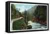 Lake Placid, New York - Hwy View of Ausable River near Wilmington Notch-Lantern Press-Framed Stretched Canvas