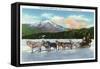 Lake Placid, New York - View of a Dogsled Team on Mirror Lake during Winter-Lantern Press-Framed Stretched Canvas