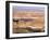 Lake Powell from Alstrom Point, Utah, USA-Lee Frost-Framed Photographic Print