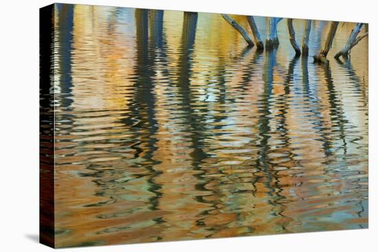 Lake Powell Reflections I-Kathy Mahan-Stretched Canvas