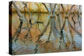 Lake Powell Reflections II-Kathy Mahan-Stretched Canvas