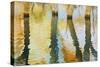 Lake Powell Reflections III-Kathy Mahan-Stretched Canvas