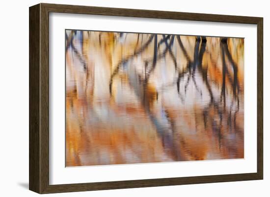 Lake Powell Reflections IV-Kathy Mahan-Framed Photographic Print