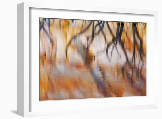 Lake Powell Reflections IV-Kathy Mahan-Framed Photographic Print