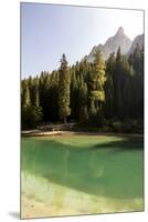 Lake Prags, Prags Dolomites, South Tyrol, Italy: The Lake, Trees And A Mountain Peak In The Sun-Axel Brunst-Mounted Premium Photographic Print